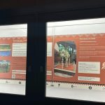 Бесплатная выставка ZOO под открытым небом у трассы W-Z — круглосуточно