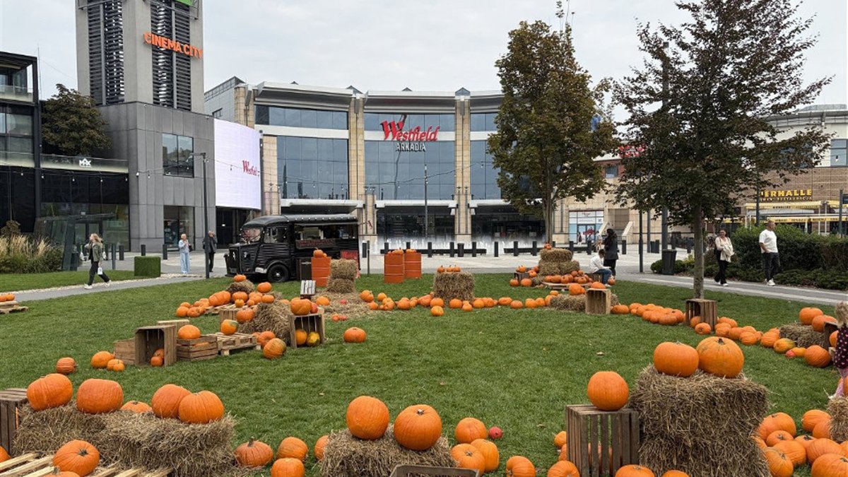 Ферма тыкв у Westfield Arkadia: сотни тыкв, фотозоны и осенний фудтрак весь октябрь, вход свободный
