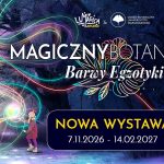 Magiczny Botaniczny 2026: миллион огней, светящиеся слоны и хищные растения в Ботаническом саду с 7 ноября